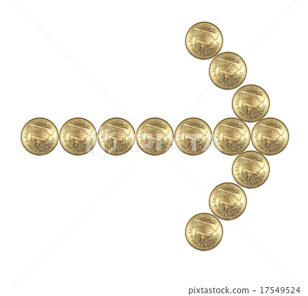 close up orange dragonfly on tree in garden 17549524