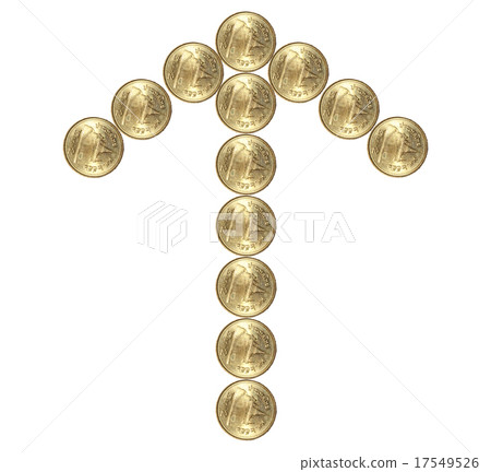 close up orange dragonfly on tree in garden 17549526