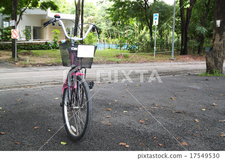 close up orange dragonfly on tree in garden 17549530