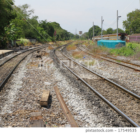 close up orange dragonfly on tree in garden close up orange dragonfly on tree in garden 17549535