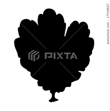 vector silhouette leaf of celandine vector silhouette leaf of celandine 17549687