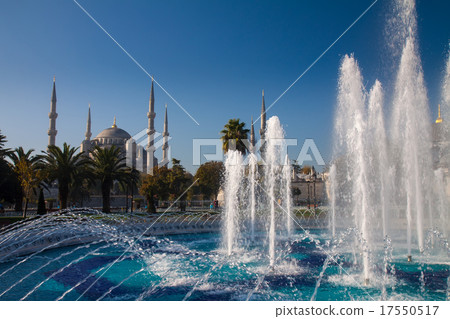Blue Mosque in Istanbul 17550517