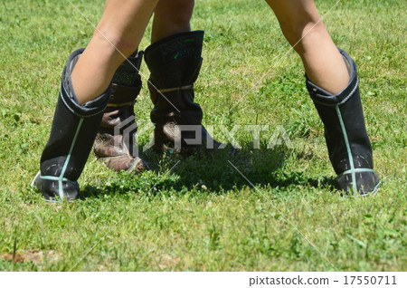 Mongolian sumo Mongolian sumo 17550711