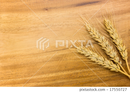 Wheat on board 17550727
