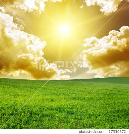 Beautiful sunset on green field Beautiful sunset on green field 17550872