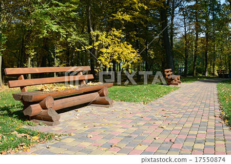 Wooden bench in the autumn park Wooden bench in the autumn park 17550874