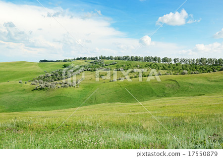 Mountainous terrain Mountainous terrain 17550879