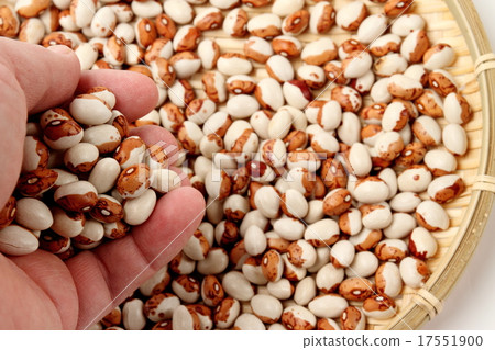 Toramame Toramame 17551900