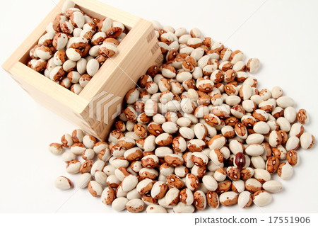 Toramame Toramame 17551906