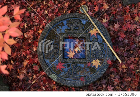 Autumn leaves in Kyoto 17553396