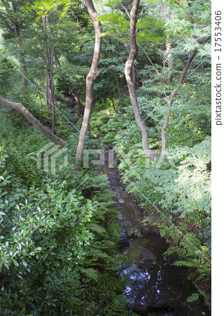 The garden of Chinzan-so 17553406