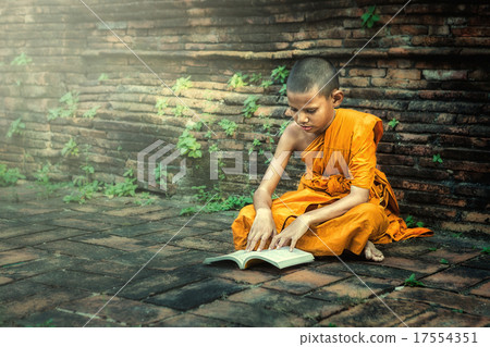 Young Novice  17554351