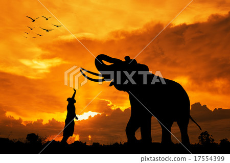 Silhouette Elephants and child Silhouette Elephants and child 17554399