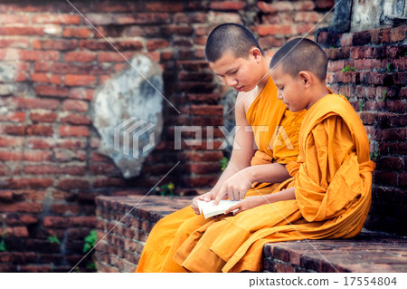 Young Novice reading book 17554804