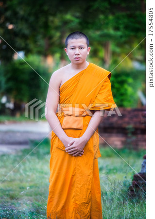 Thai young novice Thai young novice 17554805
