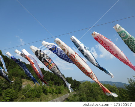 stock photo: carp streamer see all