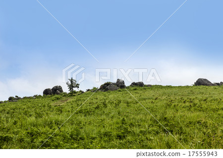 Okito stone hill Okito stone hill 17555943