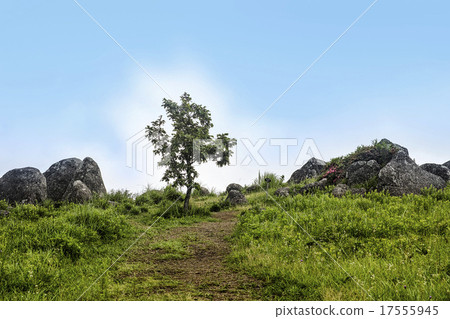 Okito石山 Okito石山 17555945