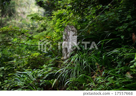 Jizo Jizo 17557668