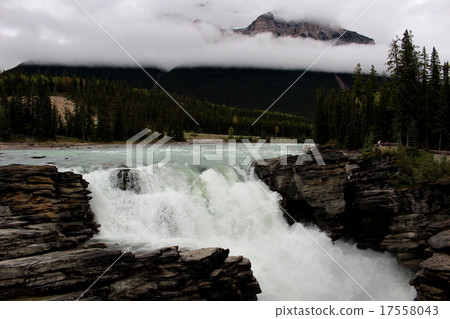 Canadian Rocky's Athabasca Falls Canadian Rocky's Athabasca Falls 17558043