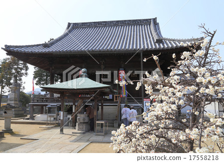 Shikoku Buddha No. 76 Buddhist temple "Kanakuraji" Daitakudo 17558218
