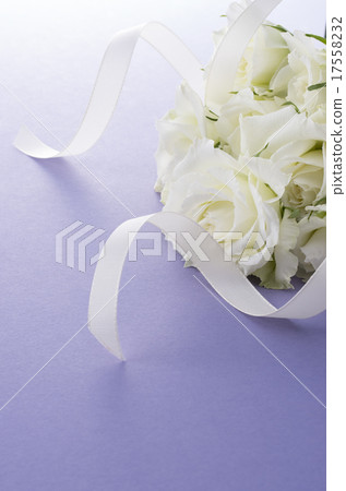 White Rose 17558232