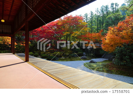 Autumn leaves of Sengakuda Treasure Garden - Stock Photo