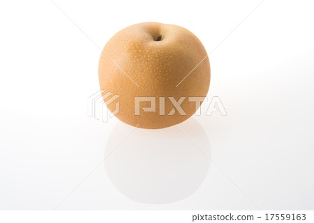 梨(Toyomi梨) 梨(Toyomi梨) 17559163