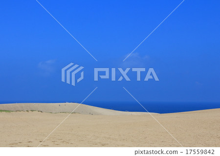 鳥取沙丘 17559842