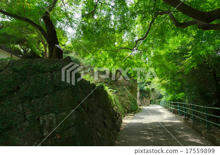 Yachiguri Temple, back approaching path (Shikoku88 Hakodate No. 85 Congress) Yachiguri Temple, back approaching path (Shikoku88 Hakodate No. 85 Congress) 17559899