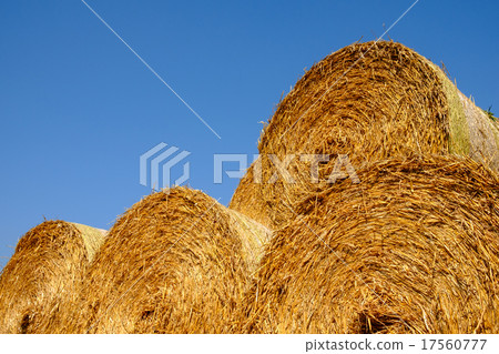 Hay bay rolls 17560777