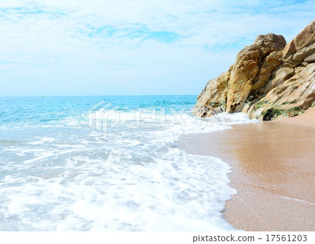Beach with rock 17561203