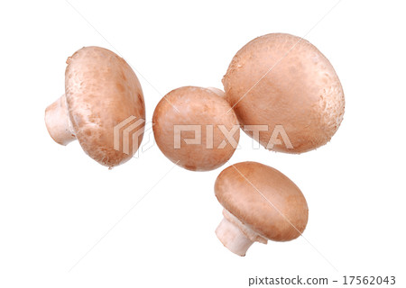 Fresh mushrooms isolated on white Fresh mushrooms isolated on white 17562043