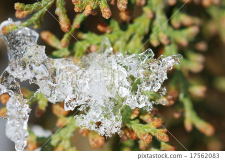 Macro photo of bright ice background Macro photo of bright ice background 17562083