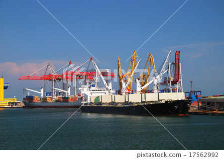 The trading seaport with cranes, cargoes and ship The trading seaport with cranes, cargoes and ship 17562992