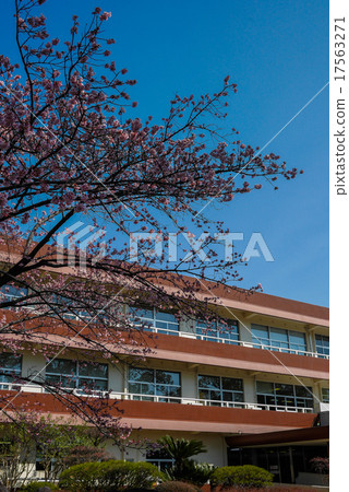 一個圖書館 17563271