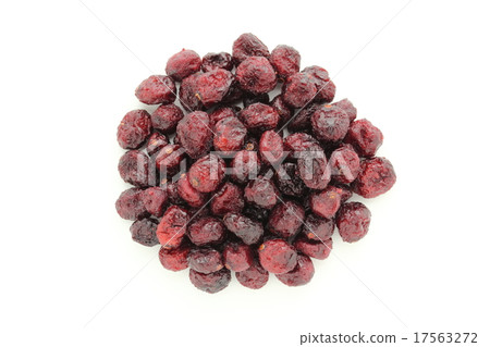 幹蔓越莓 17563272