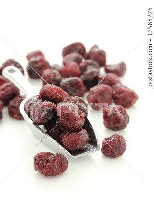 幹蔓越莓 17563275