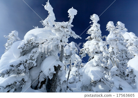 Snow smoke dance Shiga Yokote mountain ice group 17563605