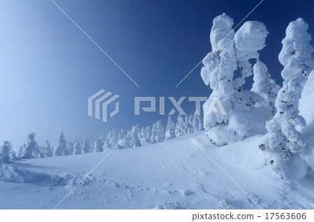 雪煙舞瑜伽橫手山冰群 17563606