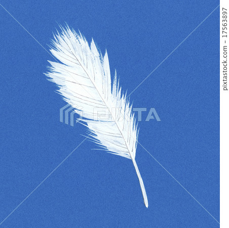 羽藍色背 17563897