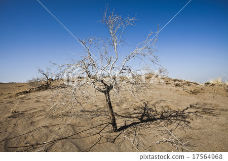 Landscapes in the desert, wonderful saturated  17564968