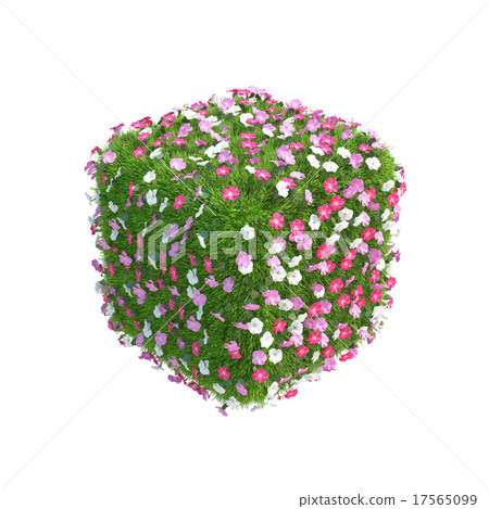 Cube of fresh green grass with flowers isolated on 17565099