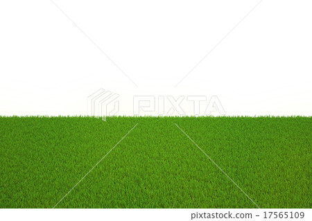 Large flat meadow of green grass without the sky 17565109