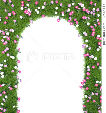 Frame of green grass with flowers isolated on 17565113