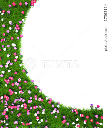 Frame of green grass with flowers isolated on Frame of green grass with flowers isolated on 17565114
