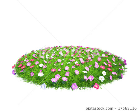 Fresh green grass piece with flowers of land 17565116