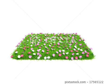 Fresh green grass piece with flowers of land 17565122