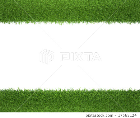 Frame made of green grass isolated on white 17565124