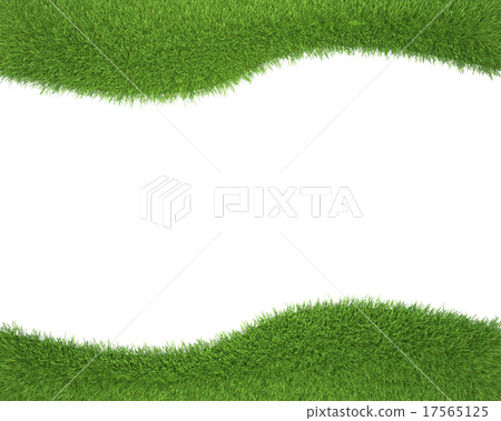 Frame made of green grass isolated on white 17565125